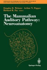 Mammalian Auditory Pathway: Neuroanatomy