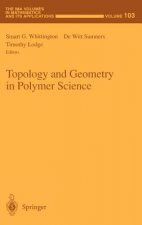 Topology and Geometry in Polymer Science
