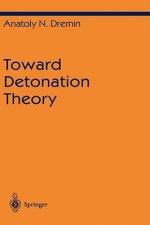 Toward Detonation Theory