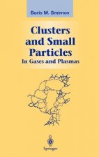 Clusters and Small Particles