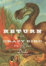 Return of the Crazy Bird