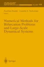 Numerical Methods for Bifurcation Problems and Large-Scale Dynamical Systems