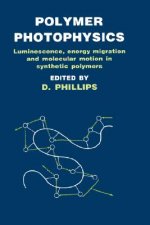 Polymer Photophysics