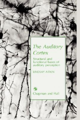 Auditory Cortex