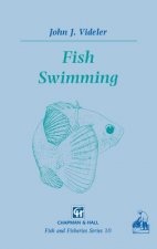 Fish Swimming