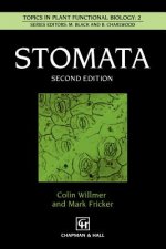 Stomata