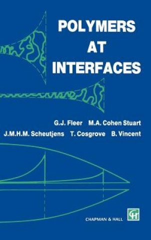 Polymers at Interfaces