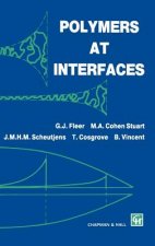 Polymers at Interfaces