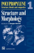 Polypropylene Structure, blends and composites. Vol.1
