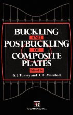 Buckling and Postbuckling of Composite Plates