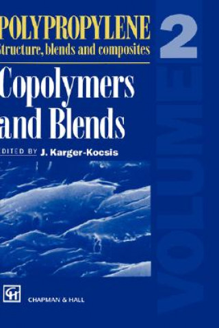 Polypropylene Structure, blends and Composites. Vol.2
