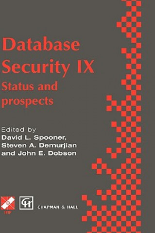 Database Security IX