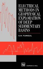 Electrical Methods in Geophysical Exploration of Deep Sedimentary Basins