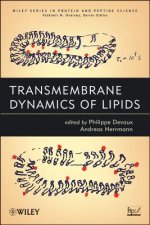 Transmembrane Dynamics of Lipids