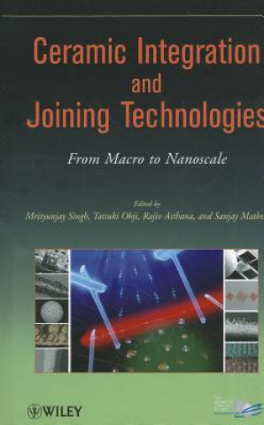 Ceramic Integration and Joining Technologies - From Macro to Nanoscale