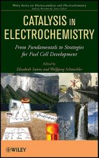 Catalysis in Electrochemistry - From Fundamentals to Strategies for Fuel Cell Development