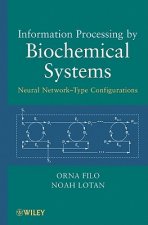 Information Processing by Biochemical Systems - Neural Network-Type Configurations