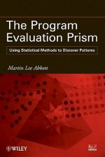 Program Evaluation Prism - Using Statistical Methods to Discover Patterns