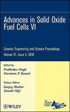 Advances in Solid Oxide Fuel Cells VI - Ceramic Engineering and Science Proceedings, V31, Issue 4