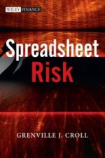 Spreadsheet Risk