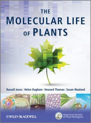 Molecular Life of Plants