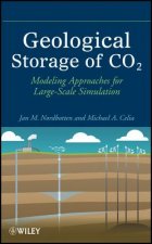 Geological Storage of CO2 - Modeling Approaches for Large-Scale Simulation