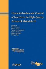 Characterization and Control of Interfaces for High Quality Advanced Materials III - Ceramic Transactions V219