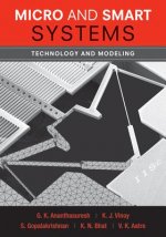 Micro and Smart Systems - Technology and Modeling (WSE)
