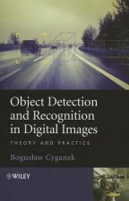 Object Detection and Recognition in Digital Images - Theory and Practice