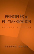 Principles of Polymerization 4e