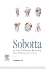 Sobotta Tables of Muscles, Joints and Nerves, English/Latin