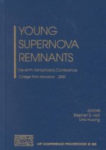 Young Supernova Remnants