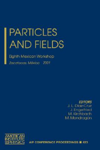 Particles and Fields: Eighth Mexican Workshop
