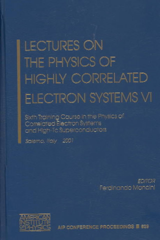Lectures on the Physics of Highly Correlated Electron Systems VI