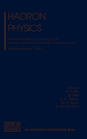 Hadron Physics
