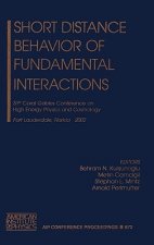 Short Distance Behavior of Fundamental Interactions
