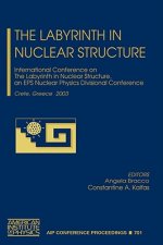 The Labyrinth in Nuclear Structure