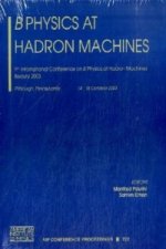 B Physics at Hadron Machines