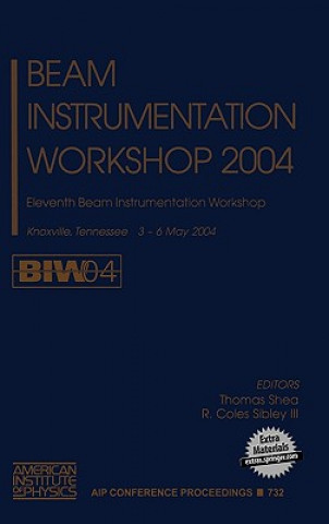 Beam Instrumentation Workshop 2004