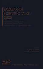 Zababakhin Scientific Talks - 2005