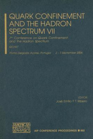 Quark Confinement and the Hadron Spectrum VII