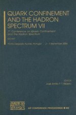 Quark Confinement and the Hadron Spectrum VII