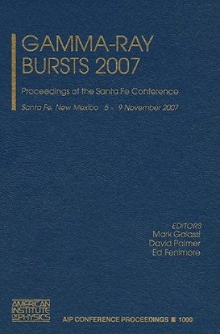 Gamma-Ray Bursts 2007
