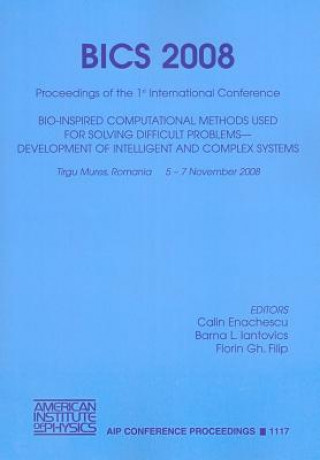 Bics 2008