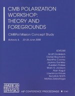 CMB Polarization Workshop