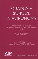 XIII Special Courses at the National Observatory of Rio de Janeiro