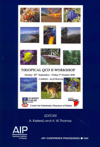 T(r)opical QCD II Workshop