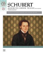 Allegro in A Minor, Op. 144 (