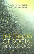Theory of Social Democracy