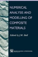 Numerical Analysis and Modelling of Composite Materials
